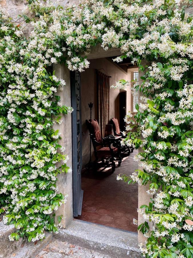 Tenuta Di San Giusto In Salcio Daire Gaiole in Chianti Dış mekan fotoğraf