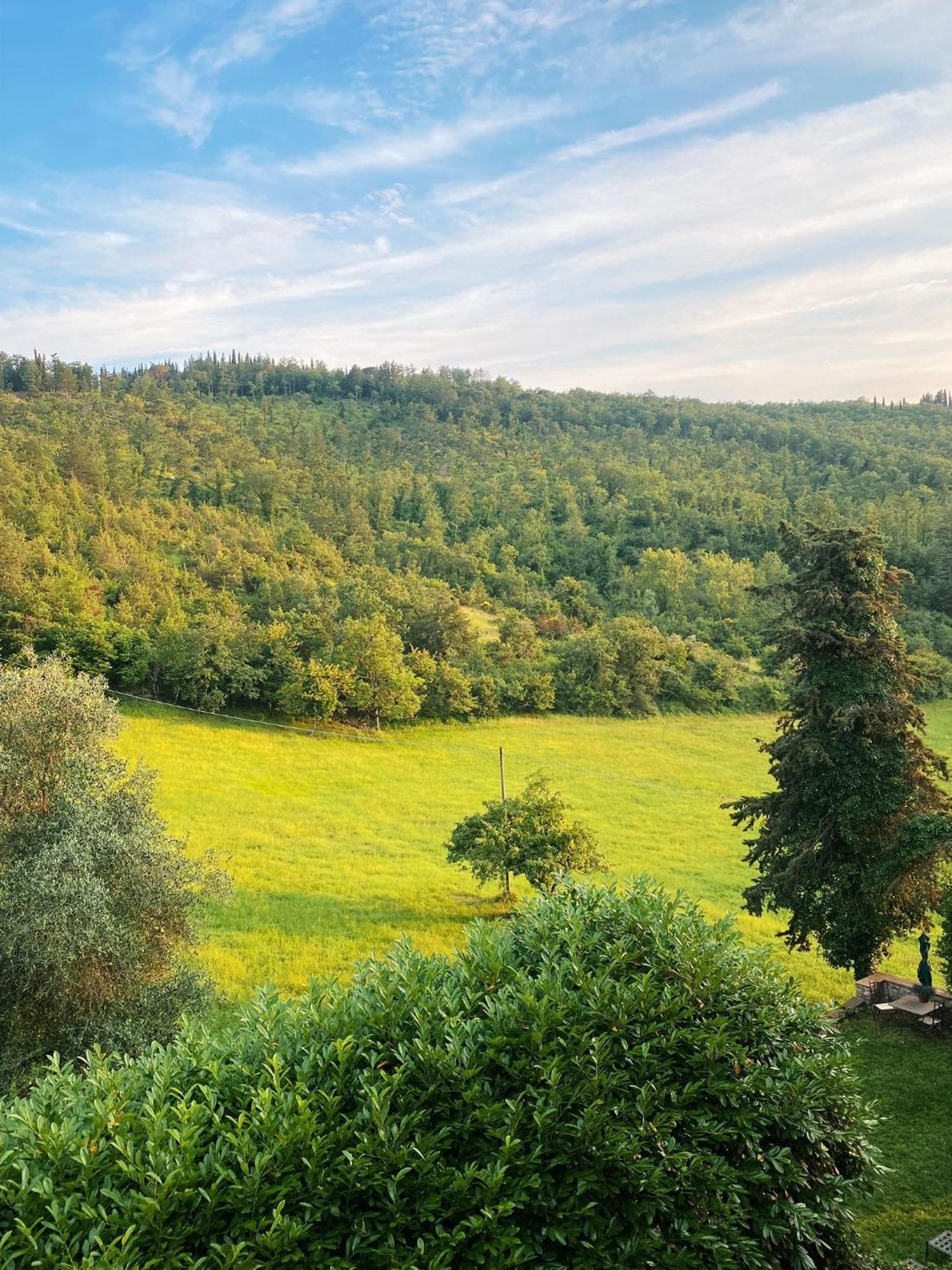 Tenuta Di San Giusto In Salcio Daire Gaiole in Chianti Dış mekan fotoğraf